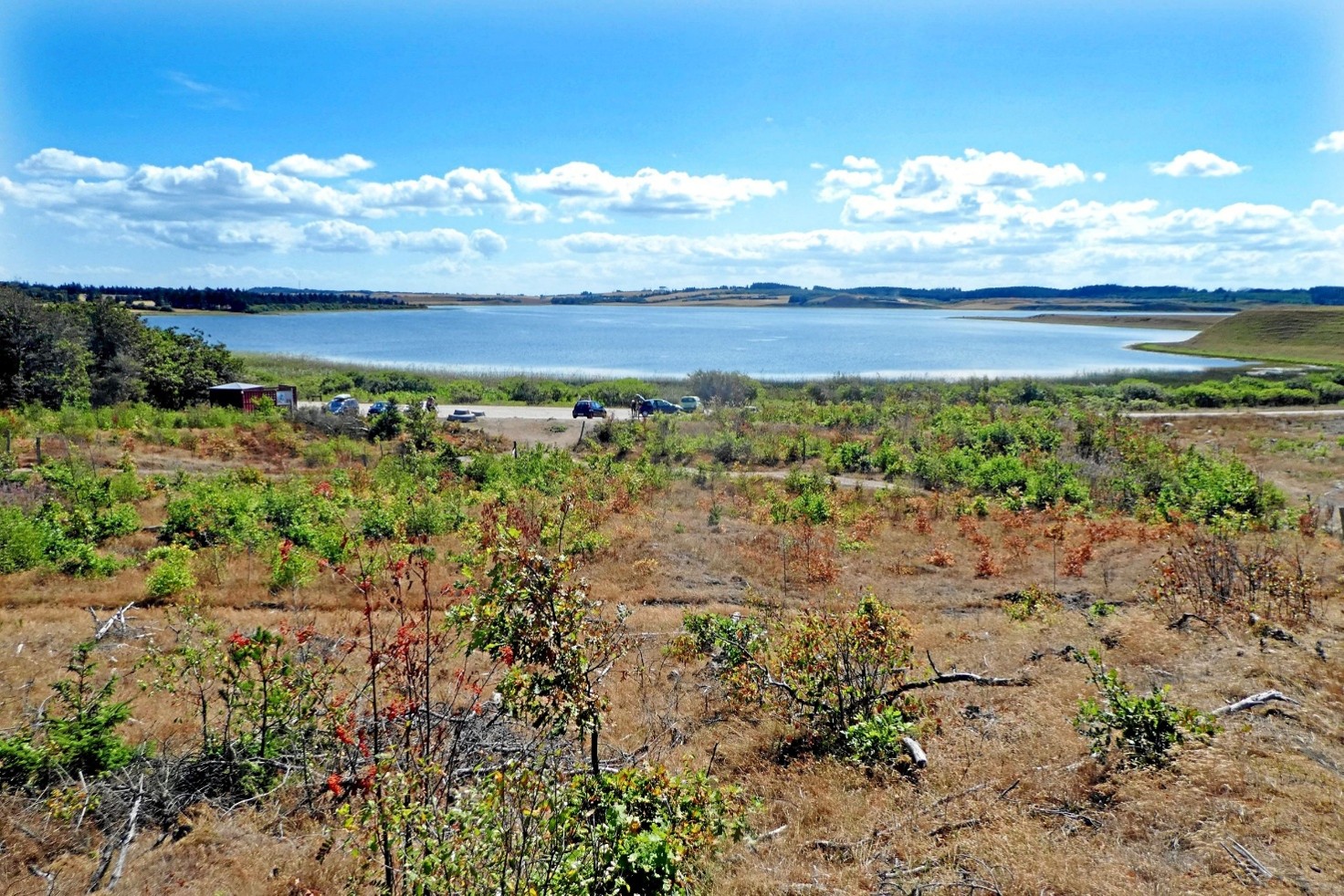 Nationalpark Thy – Danmarks første nationalpark